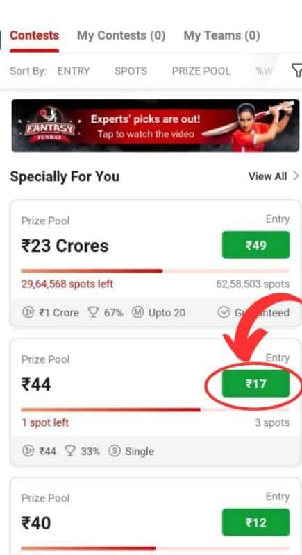 What is Dream11 and How To Play Dream11?